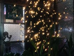 -三小姐咖啡店西餐下午茶(太平门直街店)
