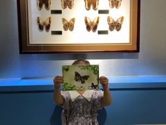 -上海昆虫博物馆