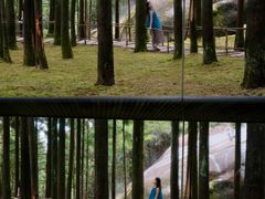 -玉苍山国家森林公园