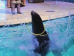 -哈尔滨波塞冬海底世界