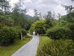 -云溪植物园