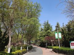 -大兴滨河森林公园