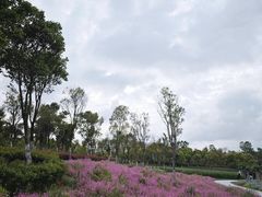-春花秋色城市公园