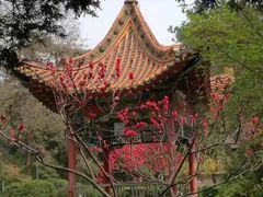 -陕西师范大学(雁塔校区)
