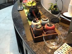 -虹桥机场国航贵宾室v8