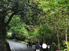 -广州市流溪河国家森林公园