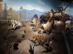 -陕西自然博物馆