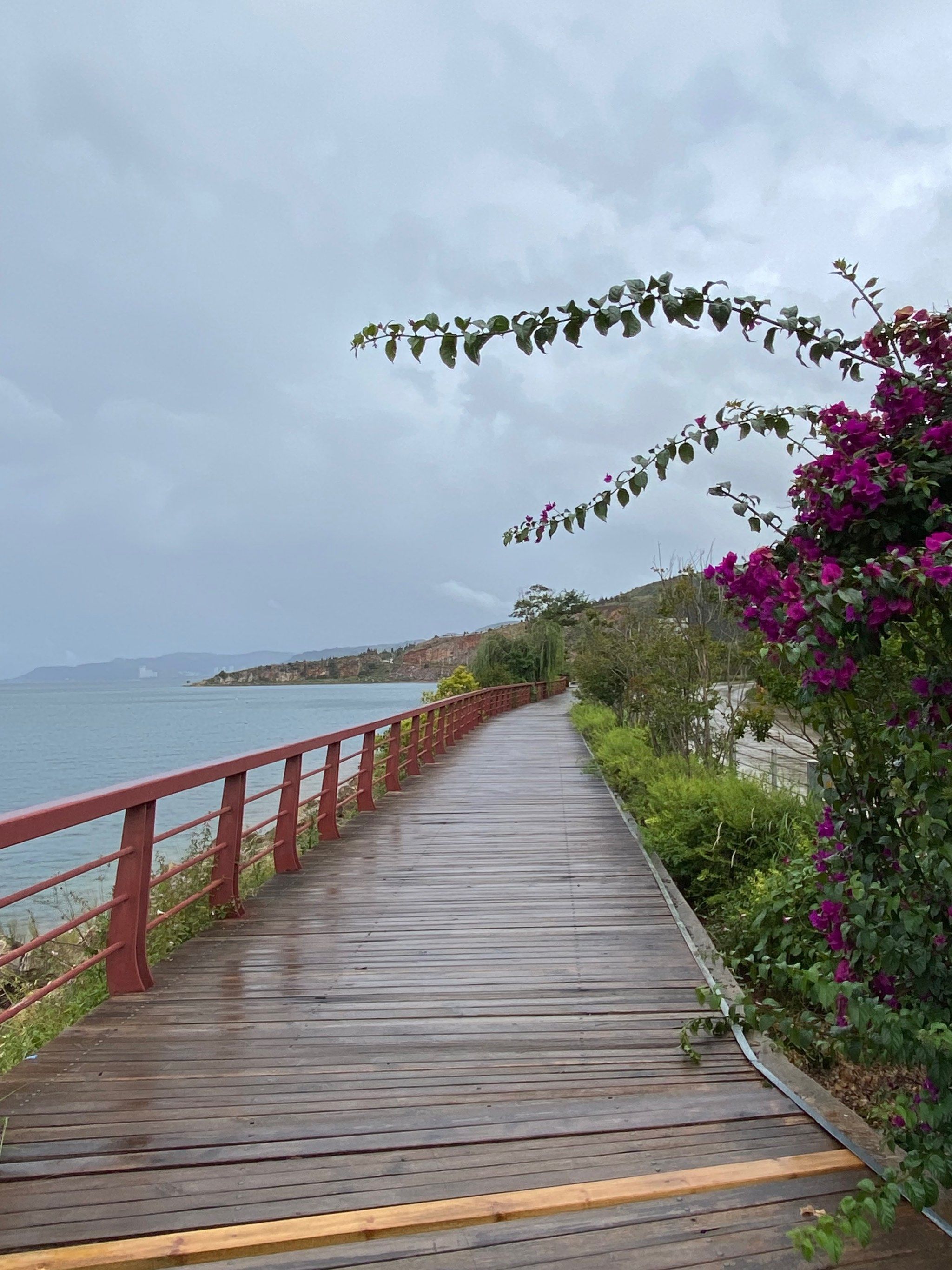 湖边木栈道的故事