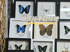 -潘家园(地铁站)