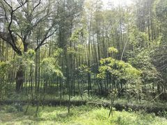 -南山风景名胜区