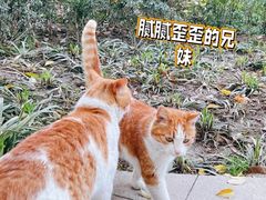 -静安雕塑公园