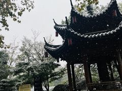 -运河游船(武林门码头)