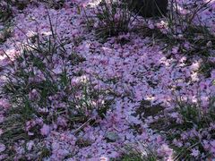 -山东大学(软件园校区)