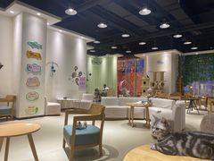 大堂-藏猫猫咖啡主题馆(中央大道店)