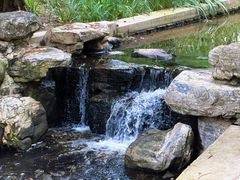 -白水寺森林公园