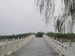 -老阿妈蒙古村·蒙古包·草原文化·歌舞表演(老君堂店)