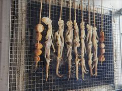 -大夫山顺驰自助烧烤场