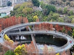 -福道