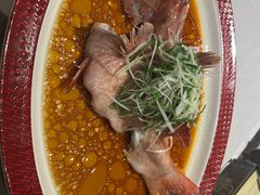 -圆苑(静安寺店)