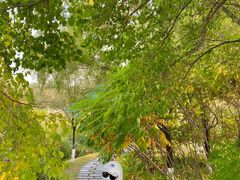 -长春世界雕塑园冰雪艺术天地