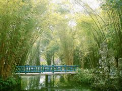 -棠湖公园