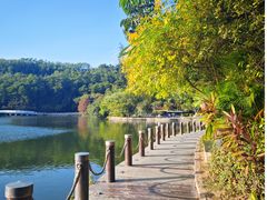 -深圳仙湖植物园