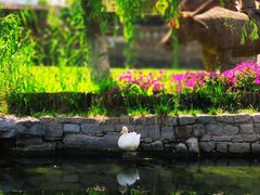 -三里河公园