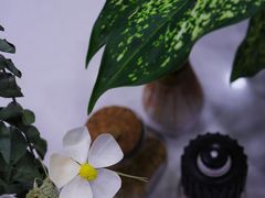 -OZ cafe(南昌路店)