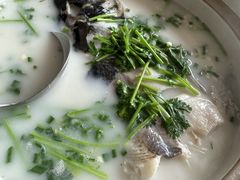 -天乐农家鱼头王(天目湖店)