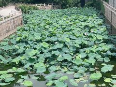 -水绘园
