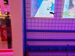 -移动谜城·大笨象密室逃脱(五棵松店)