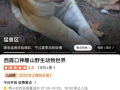 -西霞口神雕山野生动物世界