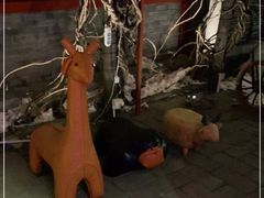 -有喜胶东小馆(超极合生汇太申祥和店)