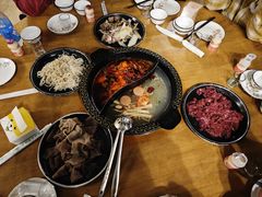 -小志家.野生菌鲜切牦牛肉牛杂火锅