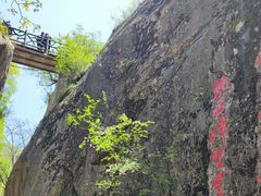 -秦岭终南山世界地质公园翠华山景区