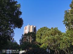 -新江湾城公园