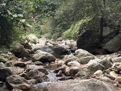 -陕西省红河谷森林公园