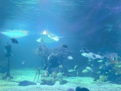 -常州海昌海洋探索馆