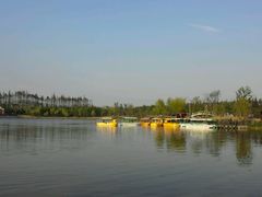 -上海长兴岛郊野公园