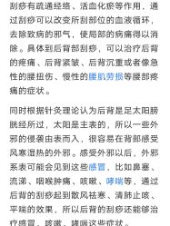 -馨园中式经络美容