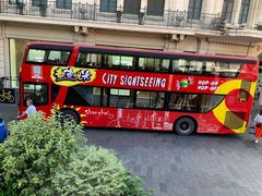 -BUS TOUR观光巴士