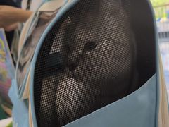-宠颐生宠物医院·综合诊疗(先锋分院)