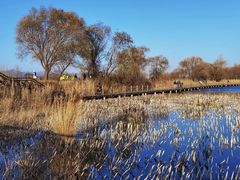 -野鸭湖国家湿地公园