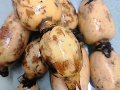 藕-天天平价生鲜超市(庙山社区西)