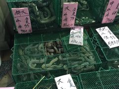 -荔城生鲜盛宴(番禺旗舰店)