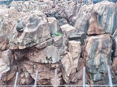 -昆明动物园
