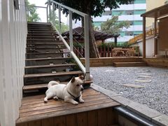 -椿风·养身茶饮(吉大店)
