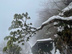 -峨眉山风景名胜区