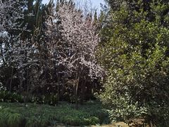 -龙华烈士纪念馆-停车场