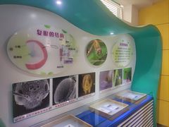 -上海昆虫博物馆